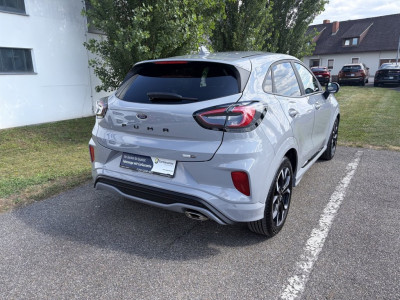 Ford Puma Gebrauchtwagen Ford Puma Gebrauchtwagen