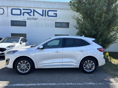 Ford Kuga Gebrauchtwagen Ford Kuga Gebrauchtwagen