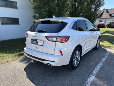 Ford Kuga Gebrauchtwagen Ford Kuga Gebrauchtwagen