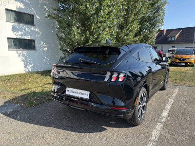 Ford Mustang Mach-E Gebrauchtwagen Ford Mustang Mach-E Gebrauchtwagen