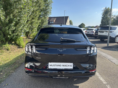 Ford Mustang Mach-E Gebrauchtwagen Ford Mustang Mach-E Gebrauchtwagen