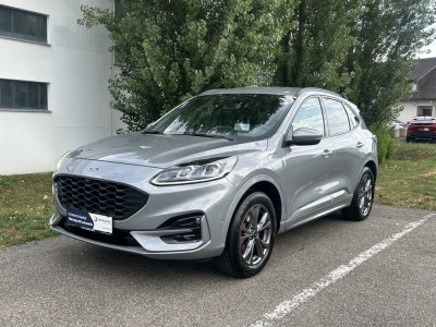 Ford Kuga Gebrauchtwagen Ford Kuga Gebrauchtwagen