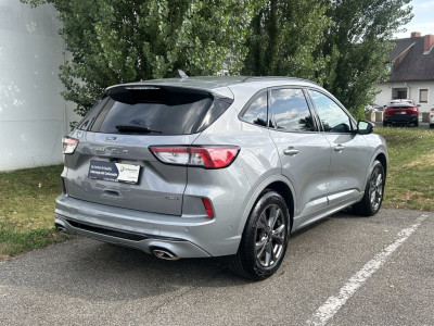 Ford Kuga Gebrauchtwagen Ford Kuga Gebrauchtwagen