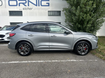 Ford Kuga Gebrauchtwagen Ford Kuga Gebrauchtwagen