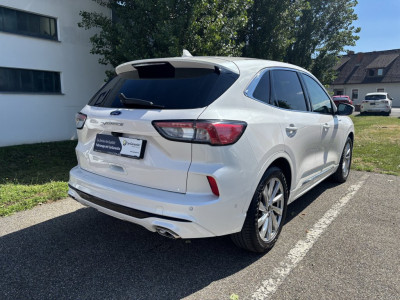 Ford Kuga Gebrauchtwagen Ford Kuga Gebrauchtwagen
