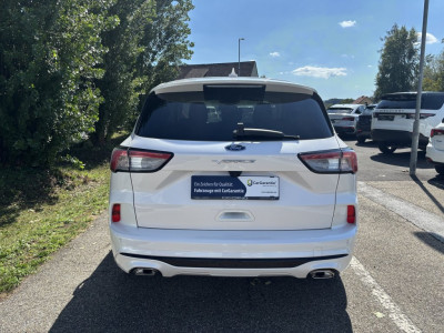 Ford Kuga Gebrauchtwagen Ford Kuga Gebrauchtwagen