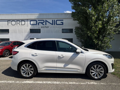 Ford Kuga Gebrauchtwagen Ford Kuga Gebrauchtwagen