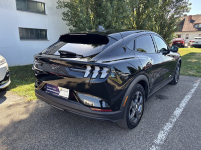 Ford Mustang Mach-E Gebrauchtwagen Ford Mustang Mach-E Gebrauchtwagen