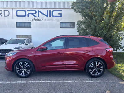 Ford Kuga Gebrauchtwagen Ford Kuga Gebrauchtwagen