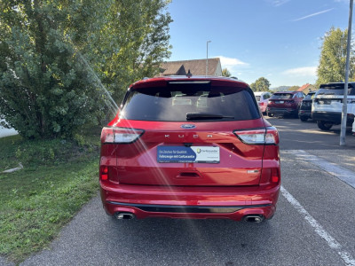 Ford Kuga Gebrauchtwagen Ford Kuga Gebrauchtwagen