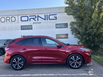 Ford Kuga Gebrauchtwagen Ford Kuga Gebrauchtwagen