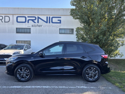Ford Kuga Gebrauchtwagen Ford Kuga Gebrauchtwagen