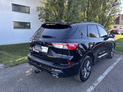 Ford Kuga Gebrauchtwagen Ford Kuga Gebrauchtwagen