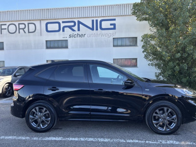 Ford Kuga Gebrauchtwagen Ford Kuga Gebrauchtwagen