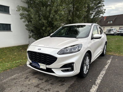 Ford Kuga Gebrauchtwagen Ford Kuga Gebrauchtwagen