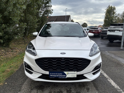 Ford Kuga Gebrauchtwagen Ford Kuga Gebrauchtwagen