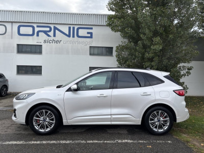 Ford Kuga Gebrauchtwagen Ford Kuga Gebrauchtwagen