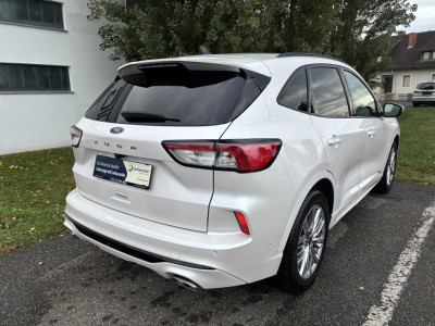 Ford Kuga Gebrauchtwagen Ford Kuga Gebrauchtwagen