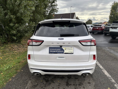 Ford Kuga Gebrauchtwagen Ford Kuga Gebrauchtwagen