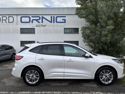 Ford Kuga Gebrauchtwagen Ford Kuga Gebrauchtwagen