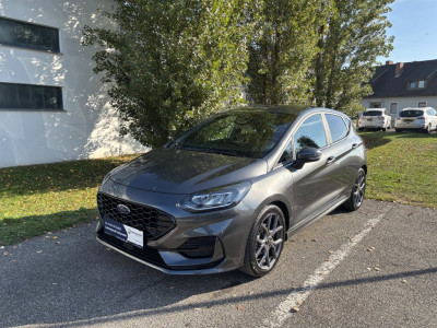 Ford Fiesta Gebrauchtwagen Ford Fiesta Gebrauchtwagen