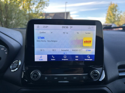 Ford EcoSport Gebrauchtwagen Ford EcoSport Gebrauchtwagen