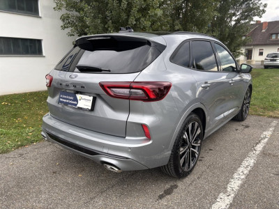 Ford Kuga Gebrauchtwagen Ford Kuga Gebrauchtwagen