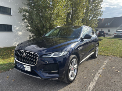 Jaguar F-Pace Gebrauchtwagen