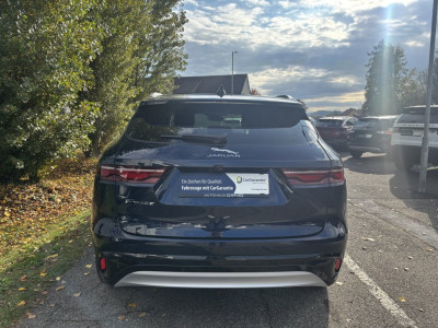 Jaguar F-Pace Gebrauchtwagen