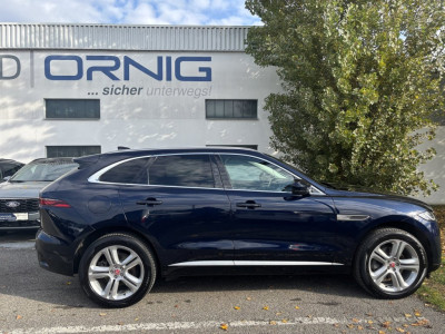 Jaguar F-Pace Gebrauchtwagen