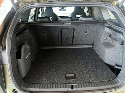 Skoda Enyaq Tageszulassung