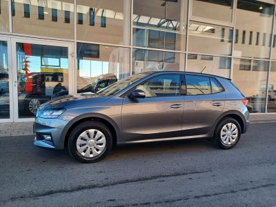 Skoda Fabia Neuwagen