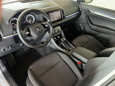 Skoda Karoq Gebrauchtwagen