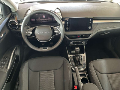 Skoda Fabia Vorführwagen