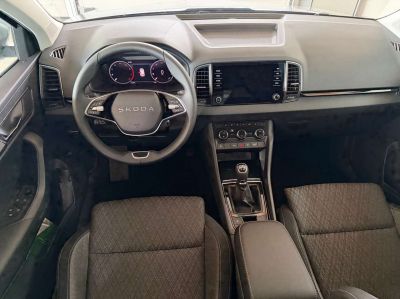 Skoda Karoq Tageszulassung