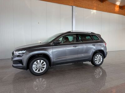 Skoda Karoq Tageszulassung
