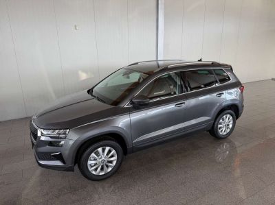 Skoda Karoq Tageszulassung