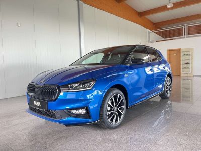 Skoda Fabia Tageszulassung