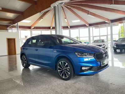 Skoda Fabia Tageszulassung