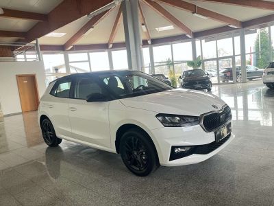 Skoda Fabia Neuwagen Skoda Fabia Neuwagen