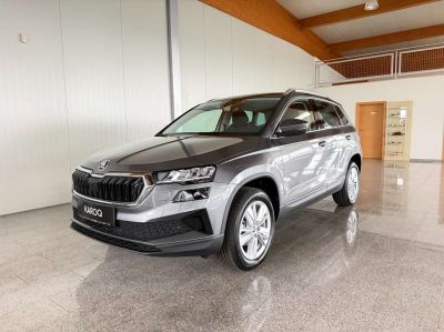 Skoda Karoq Gebrauchtwagen