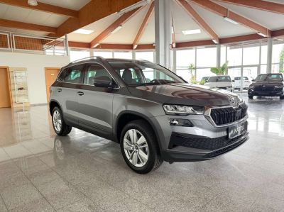 Skoda Karoq Gebrauchtwagen