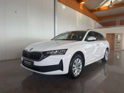 Skoda Octavia Tageszulassung