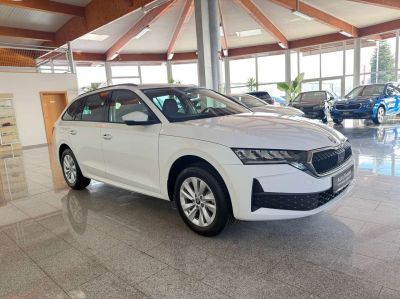 Skoda Octavia Tageszulassung