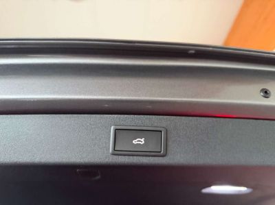 Skoda Kodiaq Tageszulassung