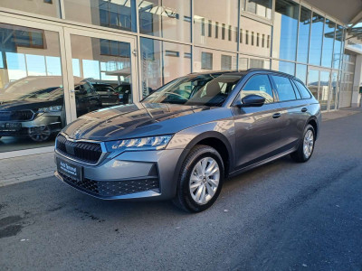 Skoda Octavia Neuwagen Skoda Octavia Neuwagen