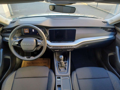 Skoda Octavia Neuwagen Skoda Octavia Neuwagen