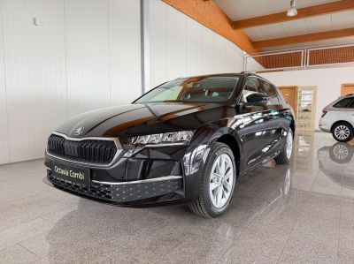 Skoda Octavia Vorführwagen