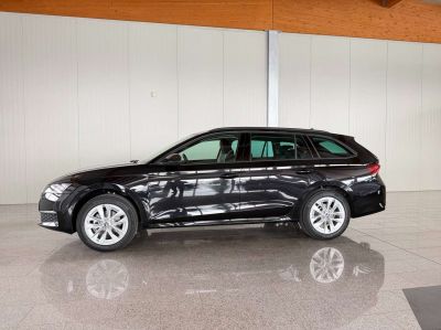 Skoda Octavia Vorführwagen