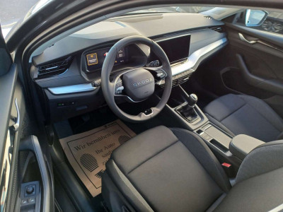 Skoda Octavia Neuwagen